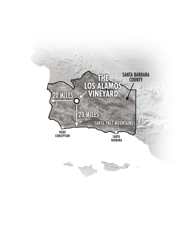 "Santa Barbara Vineyards","Paso Robles Vineyards","Central Coast Vineyards"